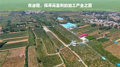 盘点那些噪音低至几乎听不见的小冰箱品牌