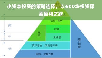 小资本投资的策略选择，以600块投资探索盈利之路