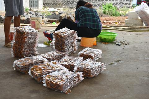 母婴品牌汇，从孕期到育儿，一站式解决你的品牌选择难题
