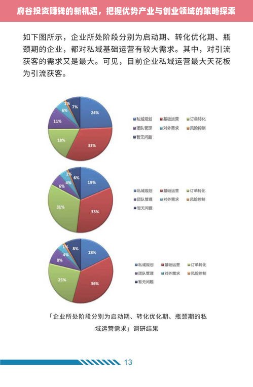 鹿优选额度大揭秘，从新手小白到额度王者的进阶指南