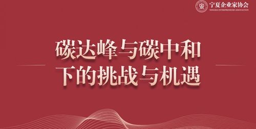 解锁京东白条额度提升秘籍