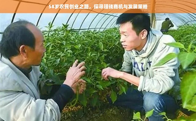 58岁农民创业之路，探寻赚钱商机与发展策略
