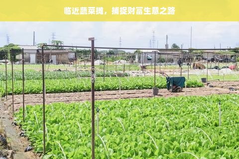宁波北仑区装修品牌费用概览