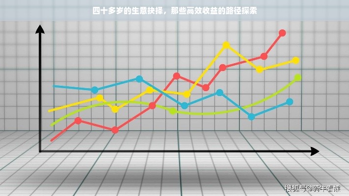 揭秘京东白条，额度如何套，真的不需要额度吗？