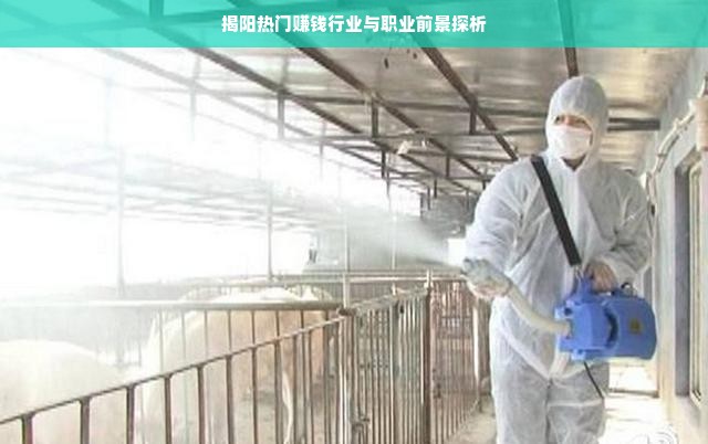 揭秘京东白条，额度如何套，真的不需要额度吗？