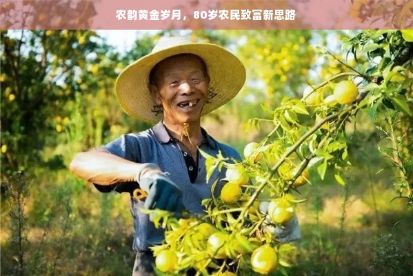 揭秘华东医药品牌总监的身份与职责，一位行业领军者的视角