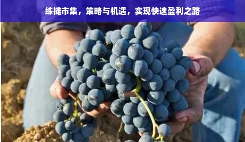 练摊市集，策略与机遇，实现快速盈利之路