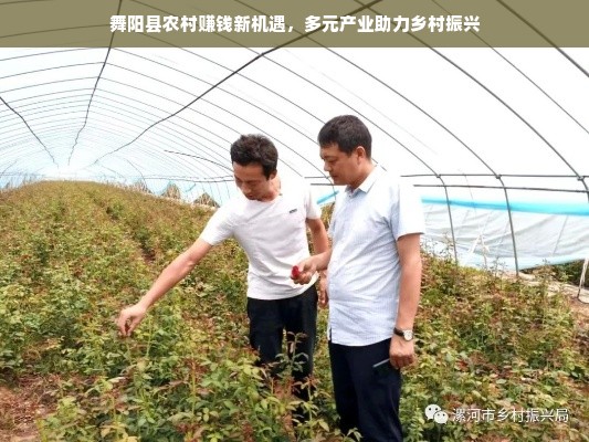 桃多多桃享卡额度提现与最大消费额度全解析，聪明用卡，额度翻倍！