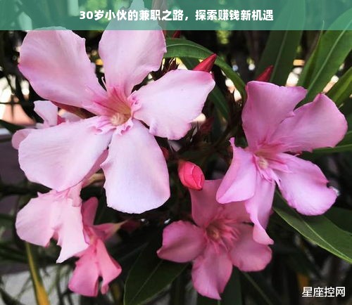 揭秘抖音月付额度提现攻略，商家如何轻松提现最大额度？