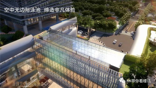深圳湖南人的财富之路，探寻多元产业中的成功之道与秘诀