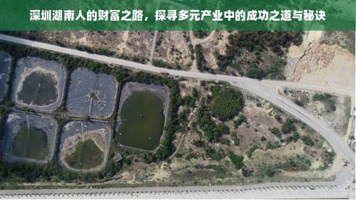 深圳湖南人的财富之路，探寻多元产业中的成功之道与秘诀