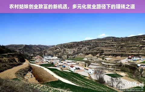 农村姑娘创业致富的新机遇，多元化就业路径下的赚钱之道
