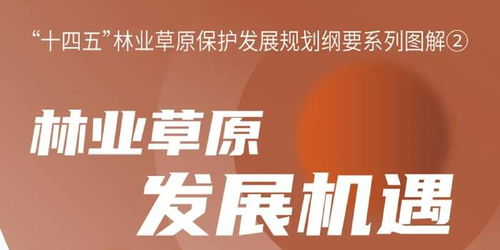 中国知名家电品牌，品质与创新共舞的时代典范
