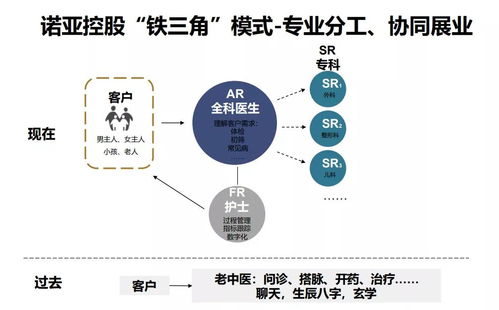 小品导演的财富之路，探索快速赚钱的途径与策略
