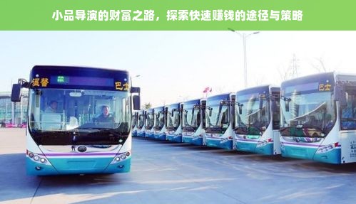 小品导演的财富之路，探索快速赚钱的途径与策略