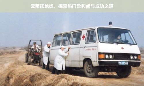 江苏茶叶品牌大盘点，品味江南水乡的茶香四溢