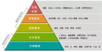 研究探讨，食品代理行业中如何发掘高盈利点
