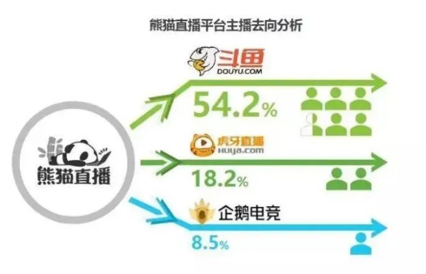 业余主播如何借助多元化策略实现盈利增长