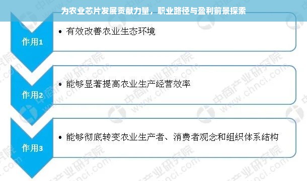为农业芯片发展贡献力量，职业路径与盈利前景探索