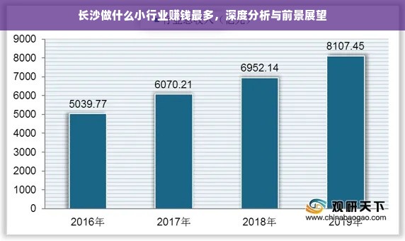 长沙做什么小行业赚钱最多，深度分析与前景展望