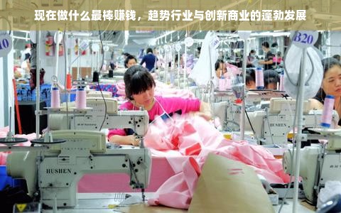 现在做什么最棒赚钱，趋势行业与创新商业的蓬勃发展