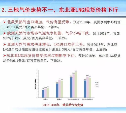 回衡水做什么项目好赚钱，深度分析与前景展望