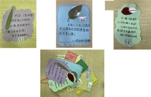 羊小咩便荔卡额度提现攻略，如何使用额度，提现流程详解