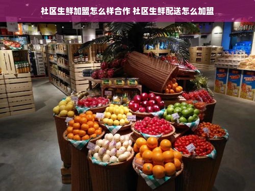 盘点大容量矮冰箱品牌，空间利用新选择！
