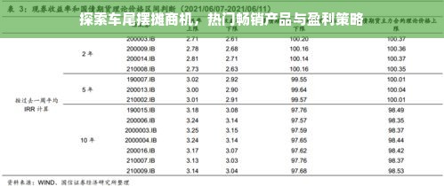 探索车尾摆摊商机，热门畅销产品与盈利策略