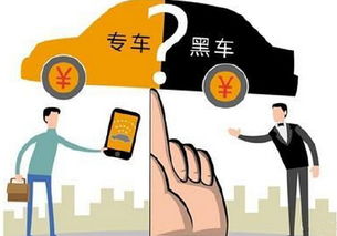 探索车尾摆摊商机，热门畅销产品与盈利策略