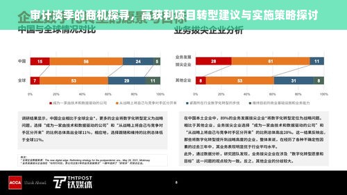 审计淡季的商机探寻，高获利项目转型建议与实施策略探讨