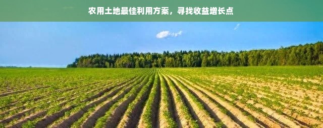 揭秘名字带德的面膜品牌，美丽肌肤的秘密武器！
