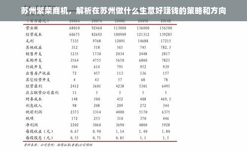 苏州繁荣商机，解析在苏州做什么生意好赚钱的策略和方向