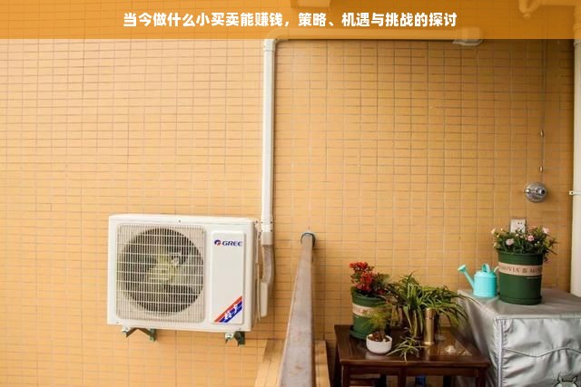 母婴加盟品牌，共创母婴事业新篇章