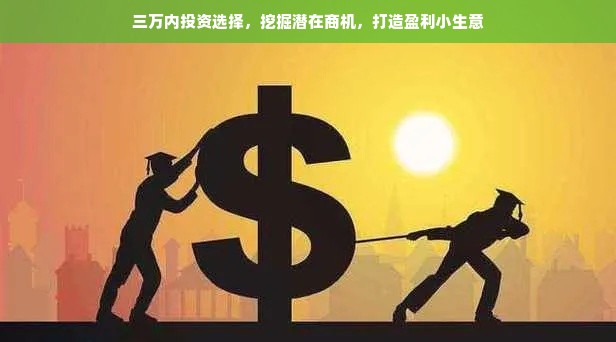 三万内投资选择，挖掘潜在商机，打造盈利小生意