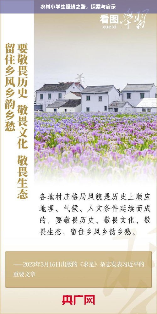 农村小学生赚钱之路，探索与启示