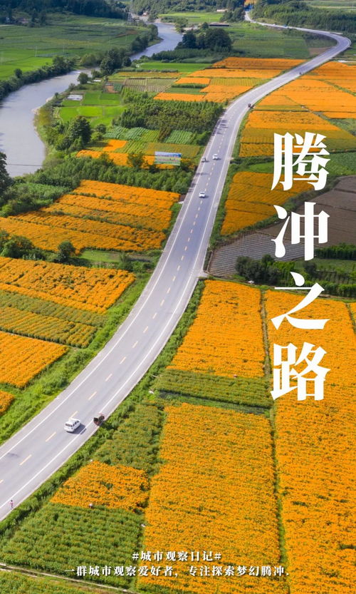 东北地摊经济的蓬勃发展之路