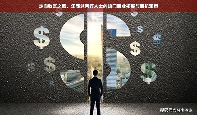 走向致富之路，年薪过百万人士的热门商业拓展与商机洞察