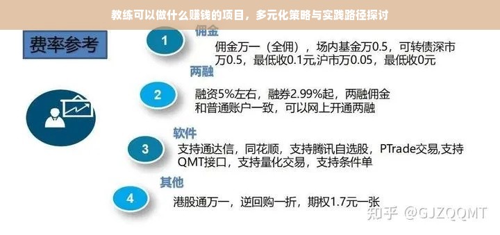 教练可以做什么赚钱的项目，多元化策略与实践路径探讨