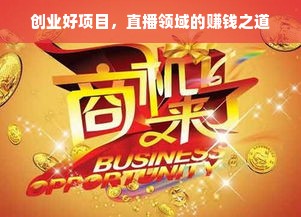 创业好项目，直播领域的赚钱之道