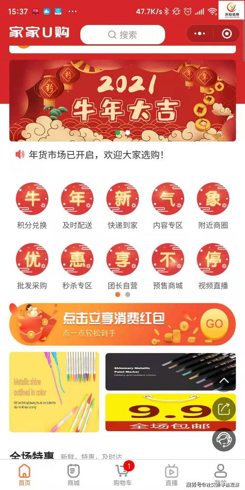 春节做什么食品赚钱，热门商机与创业视频指南