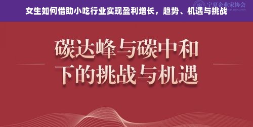 女生如何借助小吃行业实现盈利增长，趋势、机遇与挑战