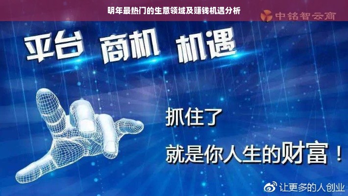 鹿优选先享卡提现全解析，额度、利率、商家合作攻略