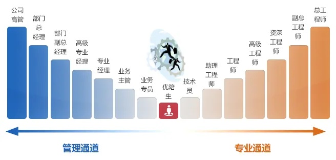 在楚雄如何立足行业选择与拓展就业道路以谋求收益——一探热门工作岗位及其职业发展路径