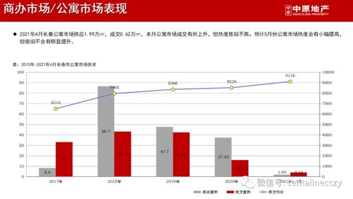长春胖哥的商业传奇，探索成功背后的生意之道