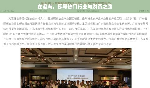在澄海，探寻热门行业与财富之路