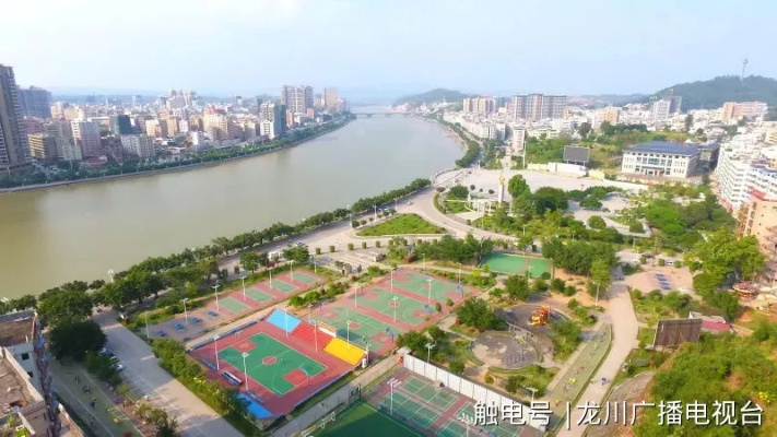 关于在龙川什么生意最赚钱的深度分析及对策建议
