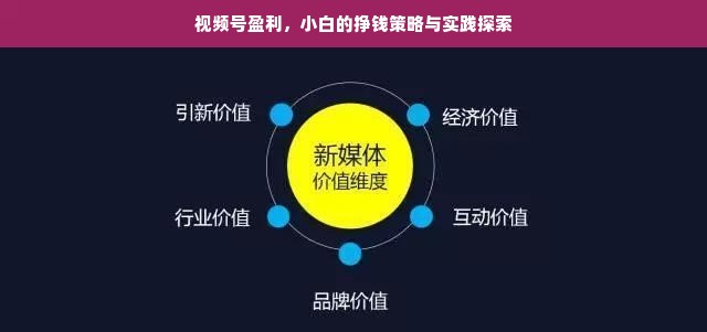 视频号盈利，小白的挣钱策略与实践探索