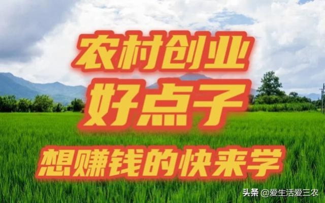 微信分付额度提现与借款，真相解析与实用指南