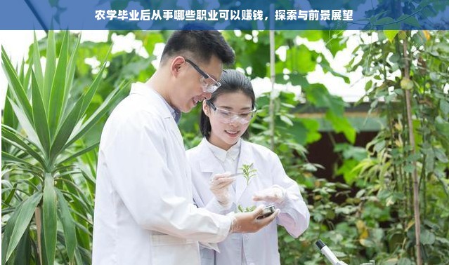 京东白条额度如何套出？详解苹果14手机京东白条分期额度